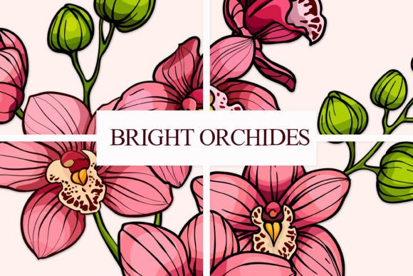 Bright Orchids Vector Set: Graphics & Illustrations