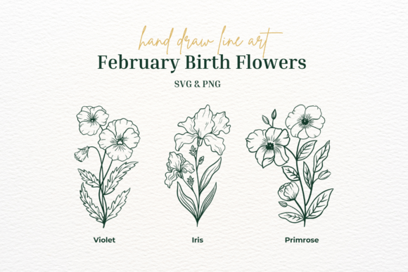 February Birth Flower SVG PNG: Graphics & Illustrations for Content
