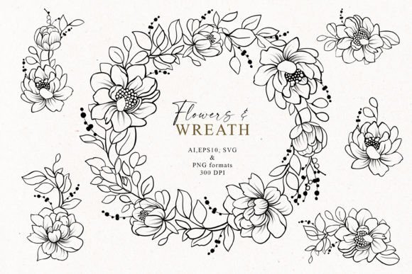 Hand Drawn Line Art Flowers & Wreath Graphics Review