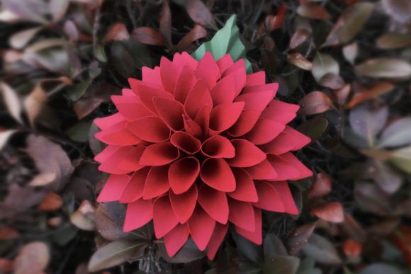 Small Paper Dahlia: 3D SVG Paper Flowers for Editorial Design