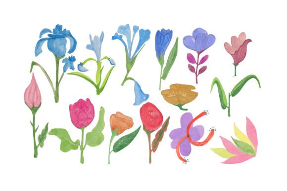 Watercolor Flowers: Rose & Wild Flower Graphics