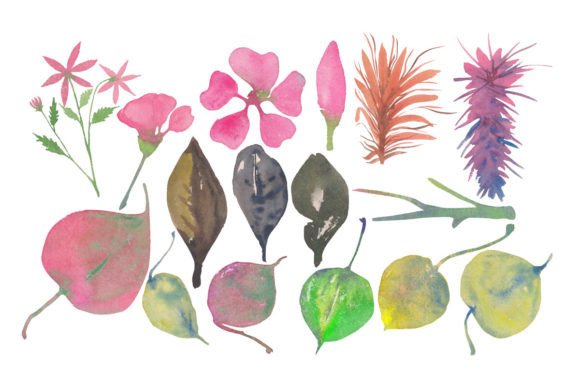 Watercolor Leaf and Flower Set: Embroidery Design Review